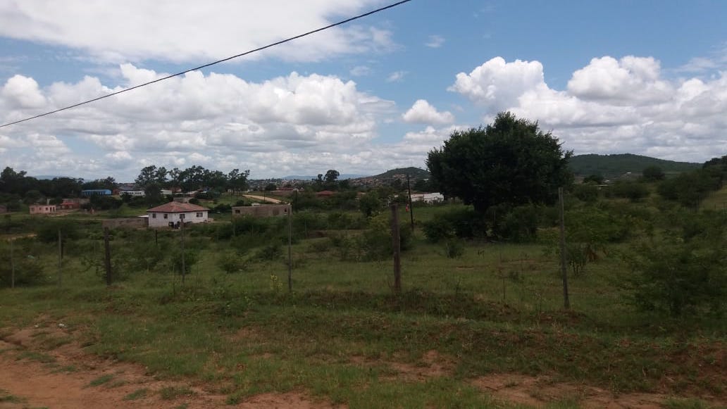 A scenic image of a green field in South Africa. There is a house in the distance and some lush trees in the foreground. The sky is blue with a few white clouds in places.